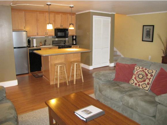 1229 Notchbrook Road, Unit 20CS Stowe, VT 05672 - Photo 8 of 18 Gallery Image 8