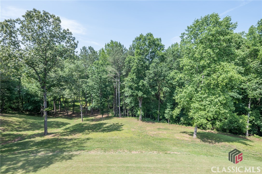 725 Brush Creek Road Colbert, GA 30628 - Photo 51 of 75