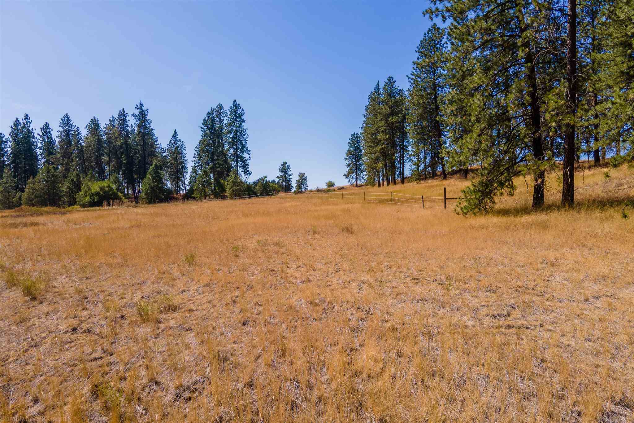 15508 Cheney Spokane Road Cheney, WA 99004 - Photo 4 of 50