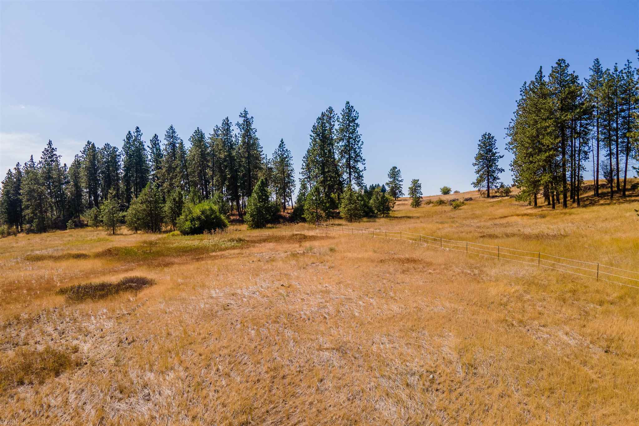 15508 Cheney Spokane Road Cheney, WA 99004 - Photo 7 of 50