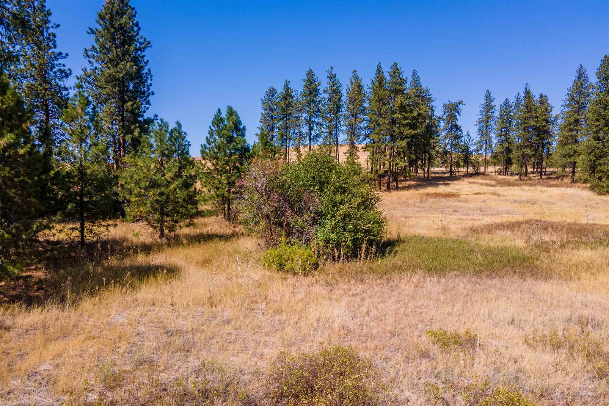 15508 Cheney Spokane Road Cheney, WA 99004 - Photo 9 of 50