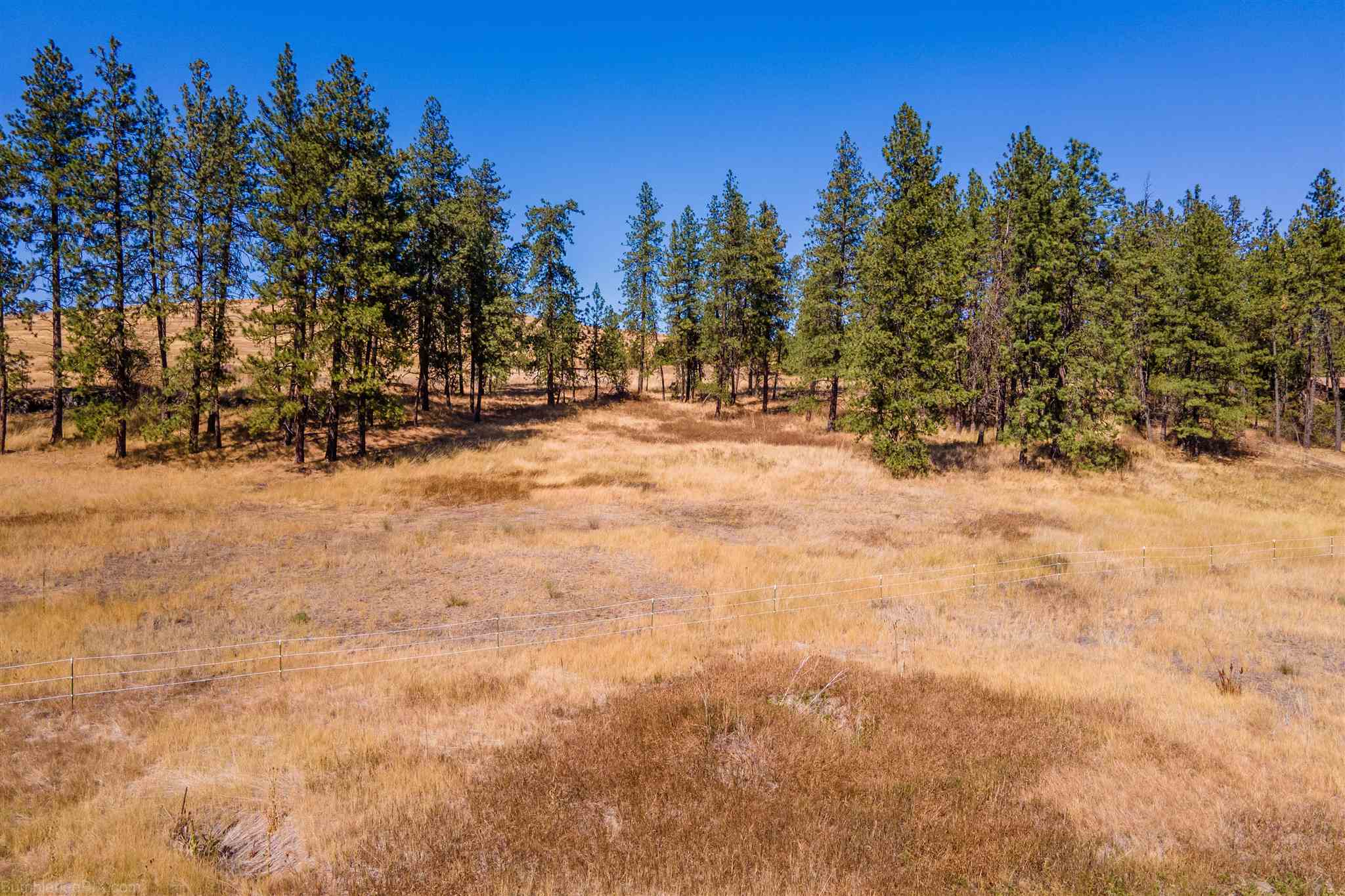 15508 Cheney Spokane Road Cheney, WA 99004 - Photo 10 of 50