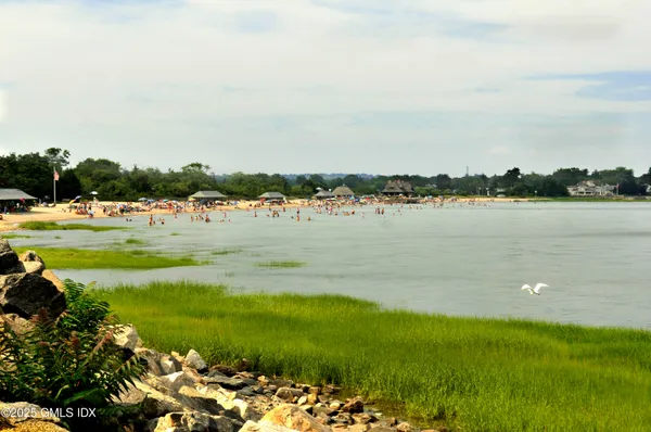 a view of a lake with houses in the back