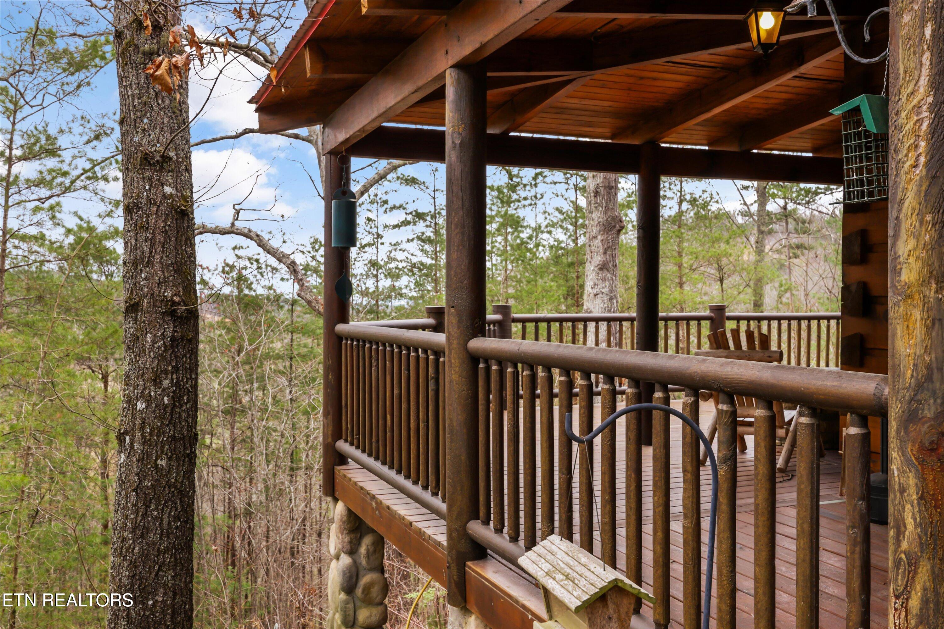 115 Martin Road Tellico Plains, TN 37385 - Photo 33 of 57 45-115 Martin Rd12