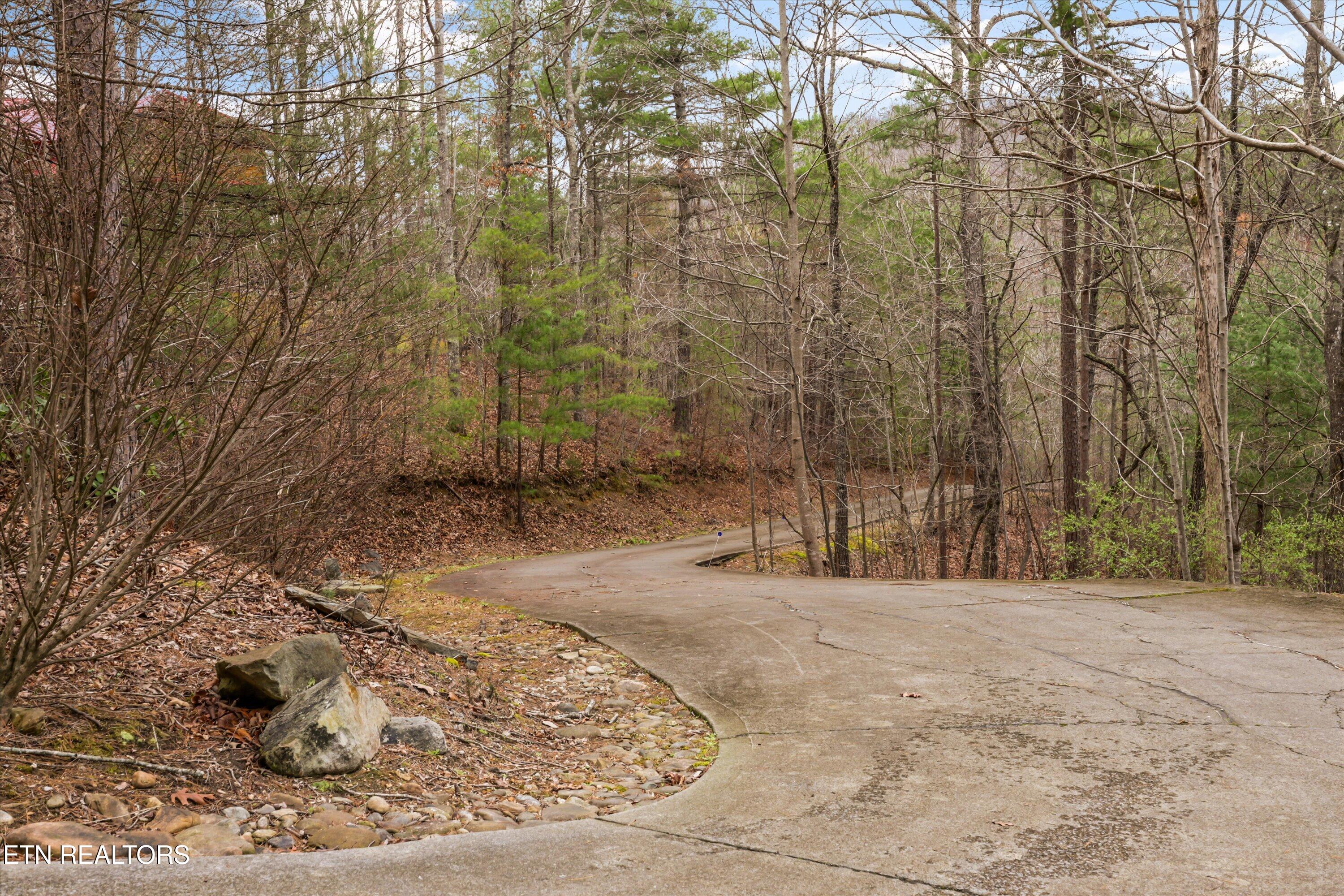 115 Martin Road Tellico Plains, TN 37385 - Photo 42 of 57 48-115 Martin Rd44