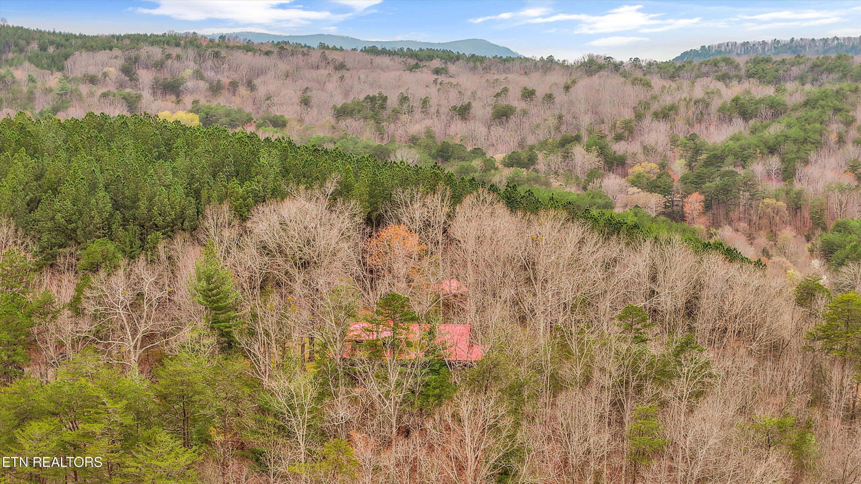 115 Martin Road Tellico Plains, TN 37385 - Photo 44 of 57 50-115 Martin Rd53