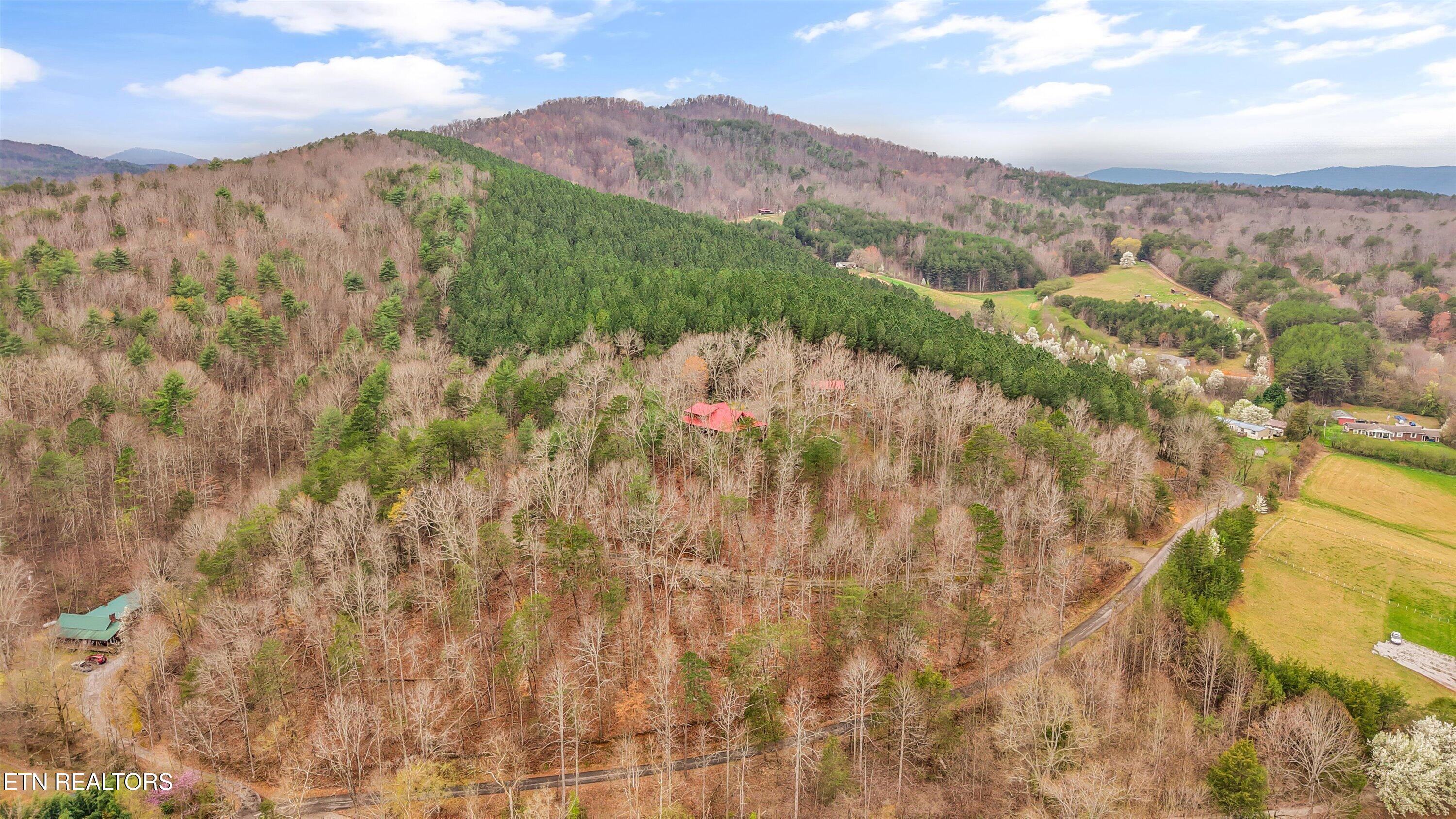 115 Martin Road Tellico Plains, TN 37385 - Photo 45 of 57 52-115 Martin Rd52