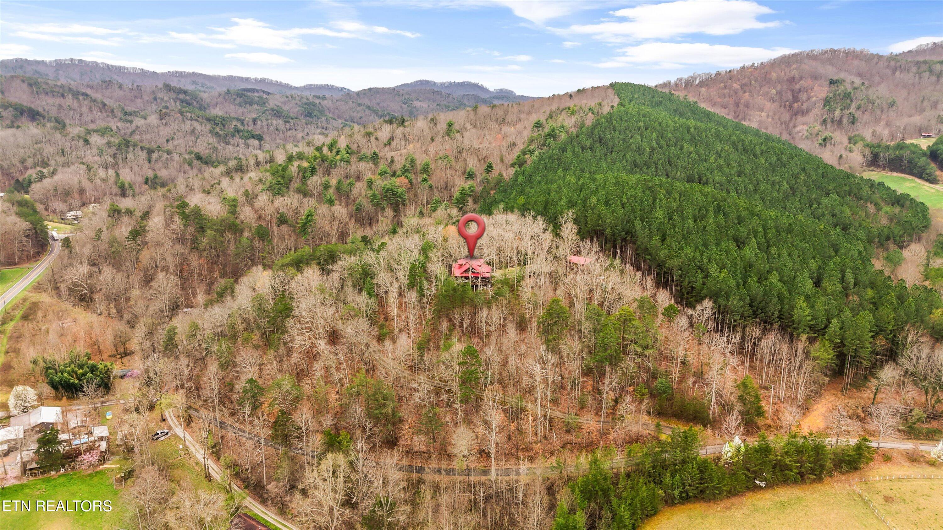 115 Martin Road Tellico Plains, TN 37385 - Photo 46 of 57 53-115 Martin Rd51