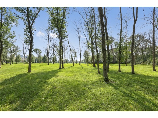 15 Deerpath Lane Oak Brook, IL 60523 - Photo 7 of 23