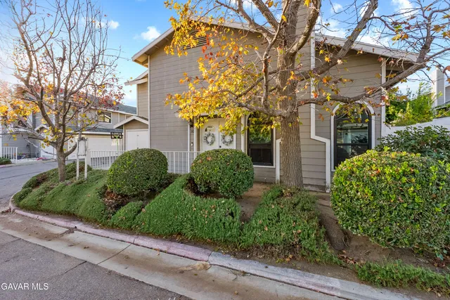 a view of a garden with pathway