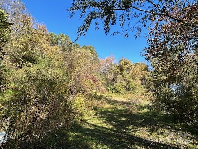 14 Dry Leaf Road Alexander, NC 28701 - Photo 25 of 27 Gallery Image 25