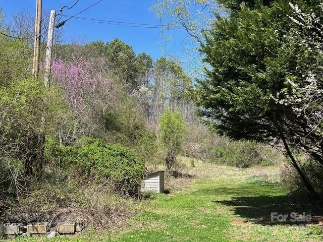 14 Dry Leaf Road Alexander, NC 28701 - Photo 6 of 27 Gallery Image 6