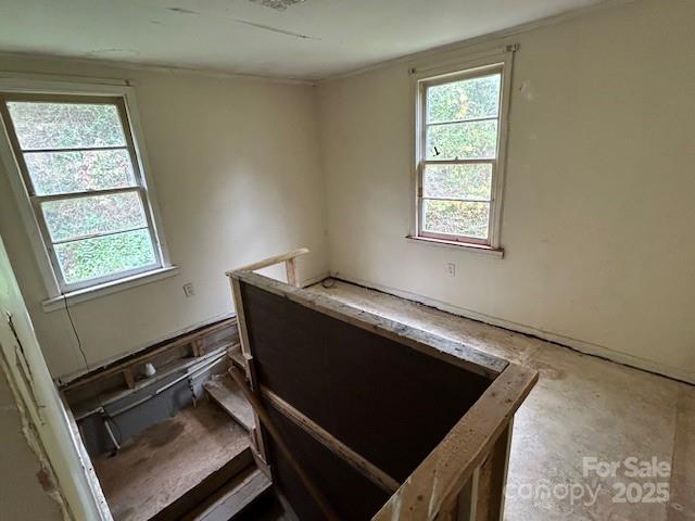 14 Dry Leaf Road Alexander, NC 28701 - Photo 8 of 27 Gallery Image 8