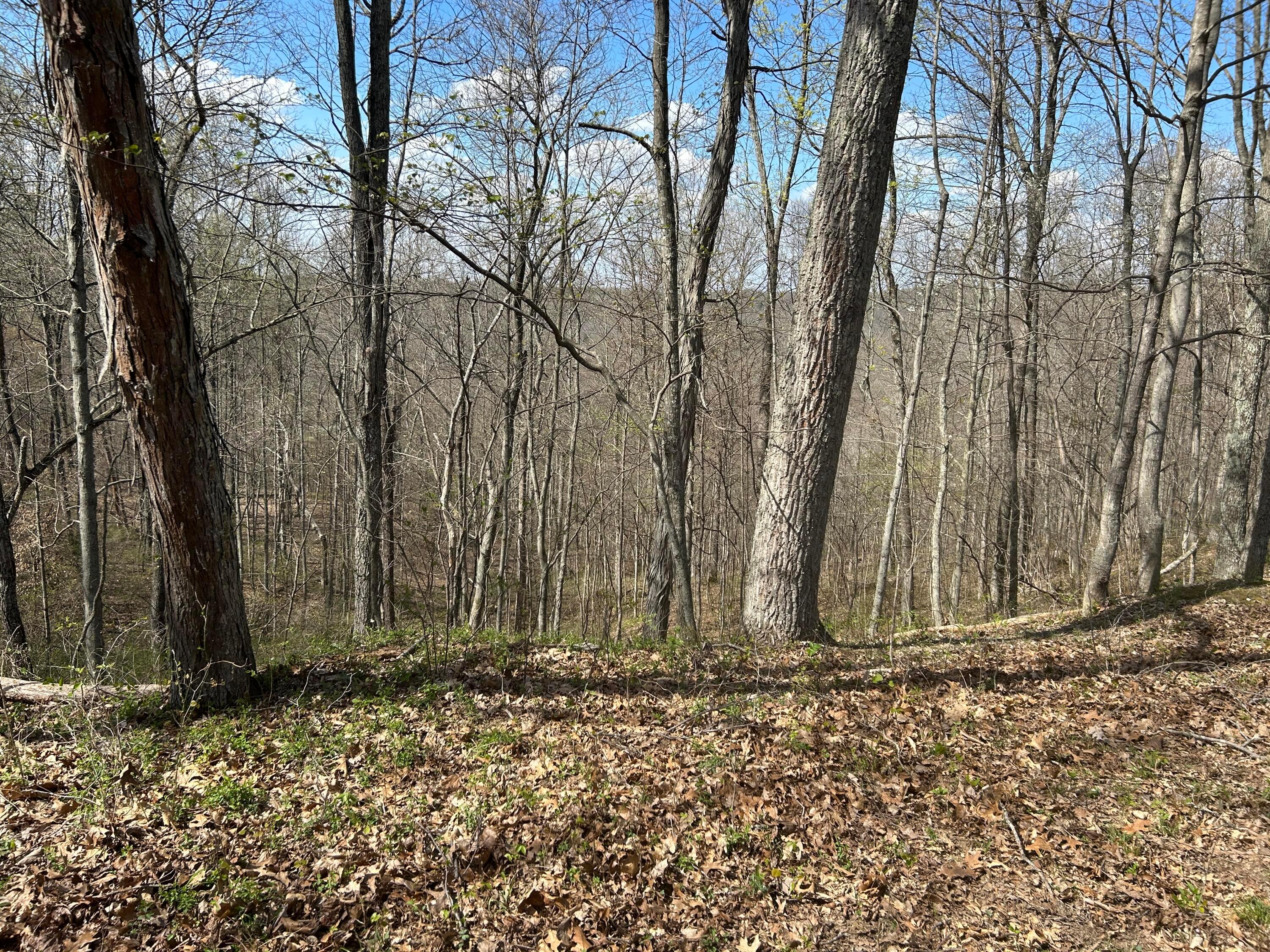 1322 Peniel Road Patriot, OH 45658 - Photo 46 of 54 Pic 21