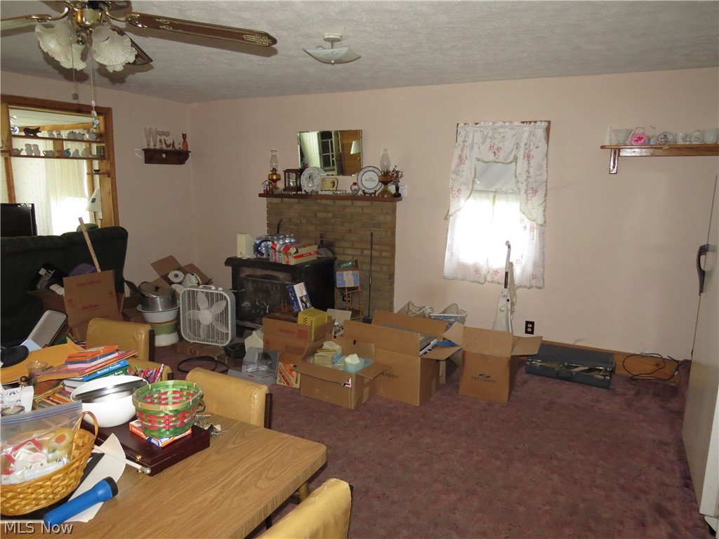 170 Spring Road Minerva, OH 44657 - Photo 13 of 13 Gallery Image 13