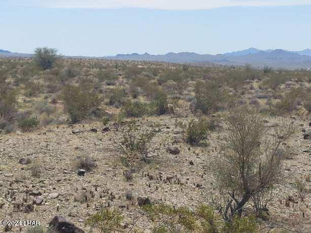 5.71-acres Frontage Road Yucca, AZ 86438 - Photo 21 of 27 Resized_20240404_140032