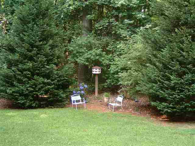 121 Wallingford Road Greenville, SC 29609 - Photo 21 of 25 Gallery Image 21