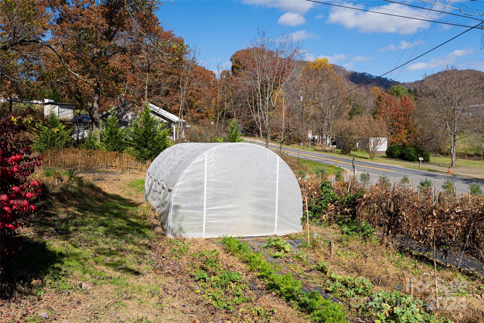 5074 Thickety Road Canton, NC 28716 - Photo 43 of 48 a view of a backyard