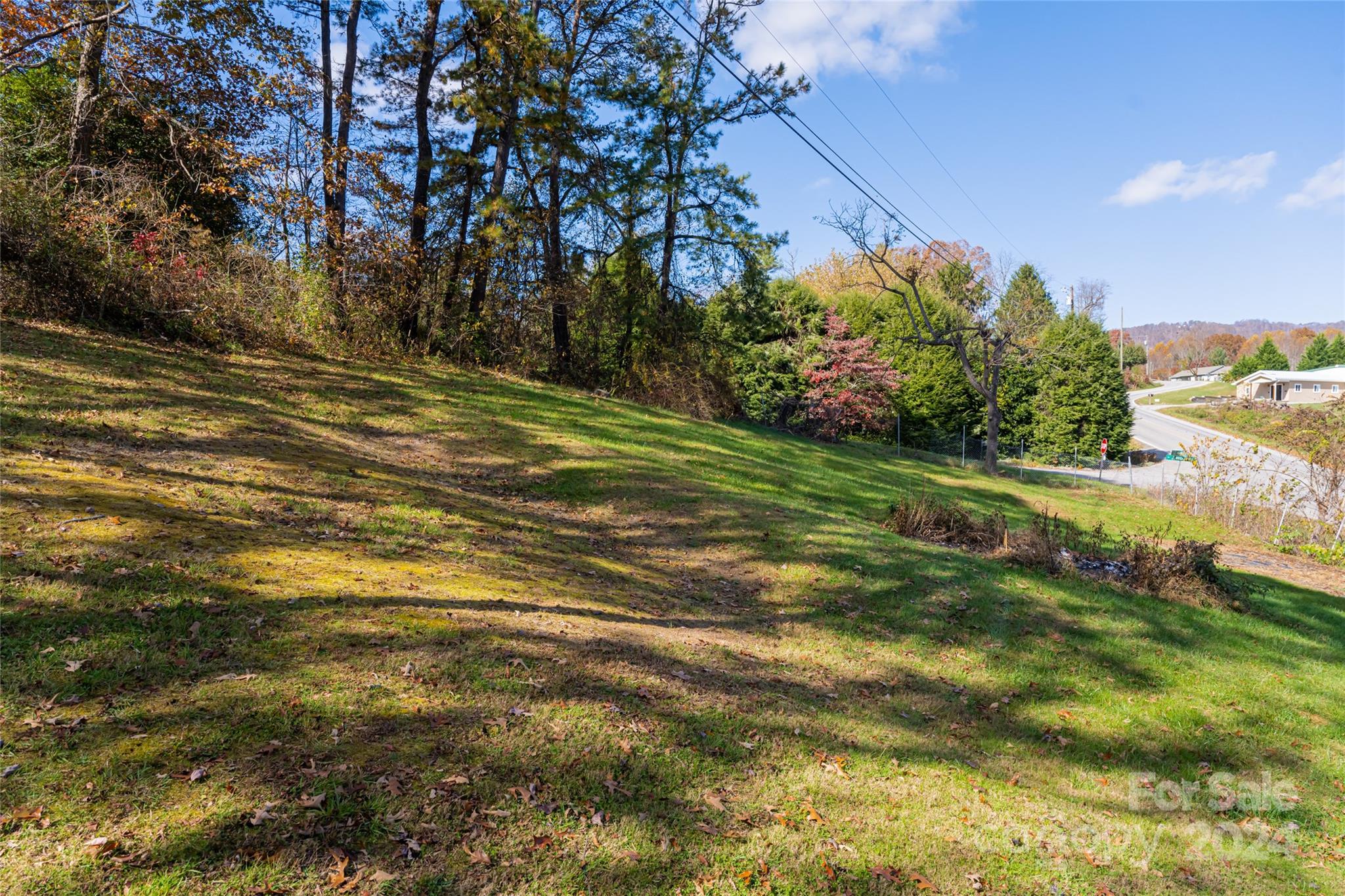 5074 Thickety Road Canton, NC 28716 - Photo 44 of 48 a view of a field with plants and trees