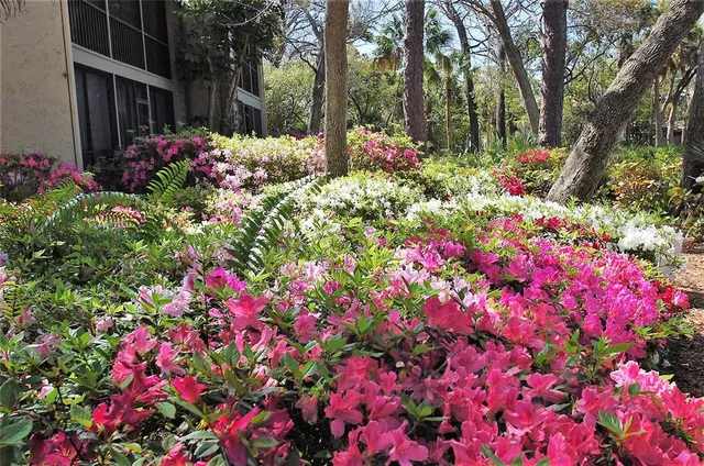 a view of a city and ocean view
