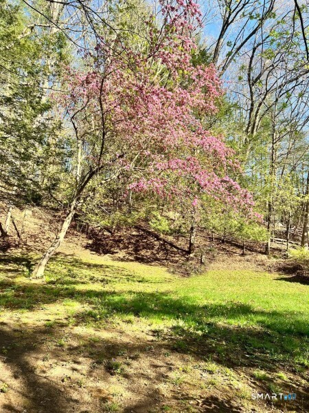 23 Baxter Road Willington, CT 06279 - Photo 3 of 39