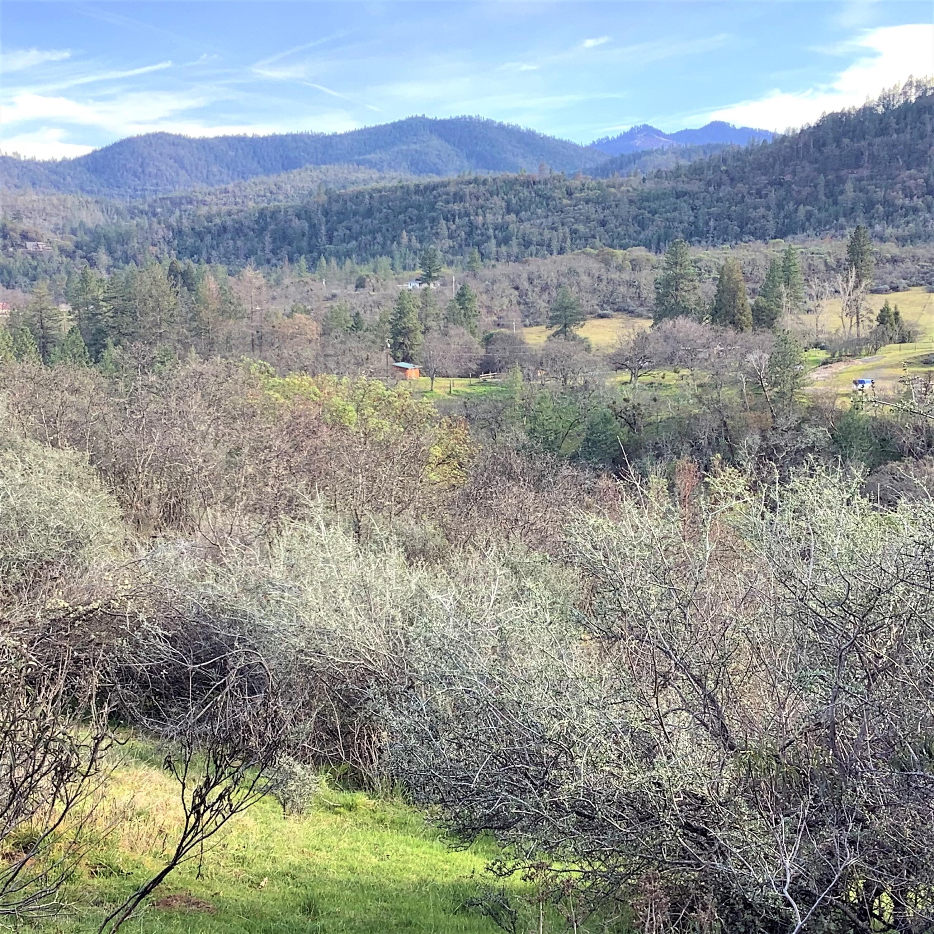 7017 Dark Hollow Road Medford, OR 97501 - Photo 67 of 74 7017 mountain views