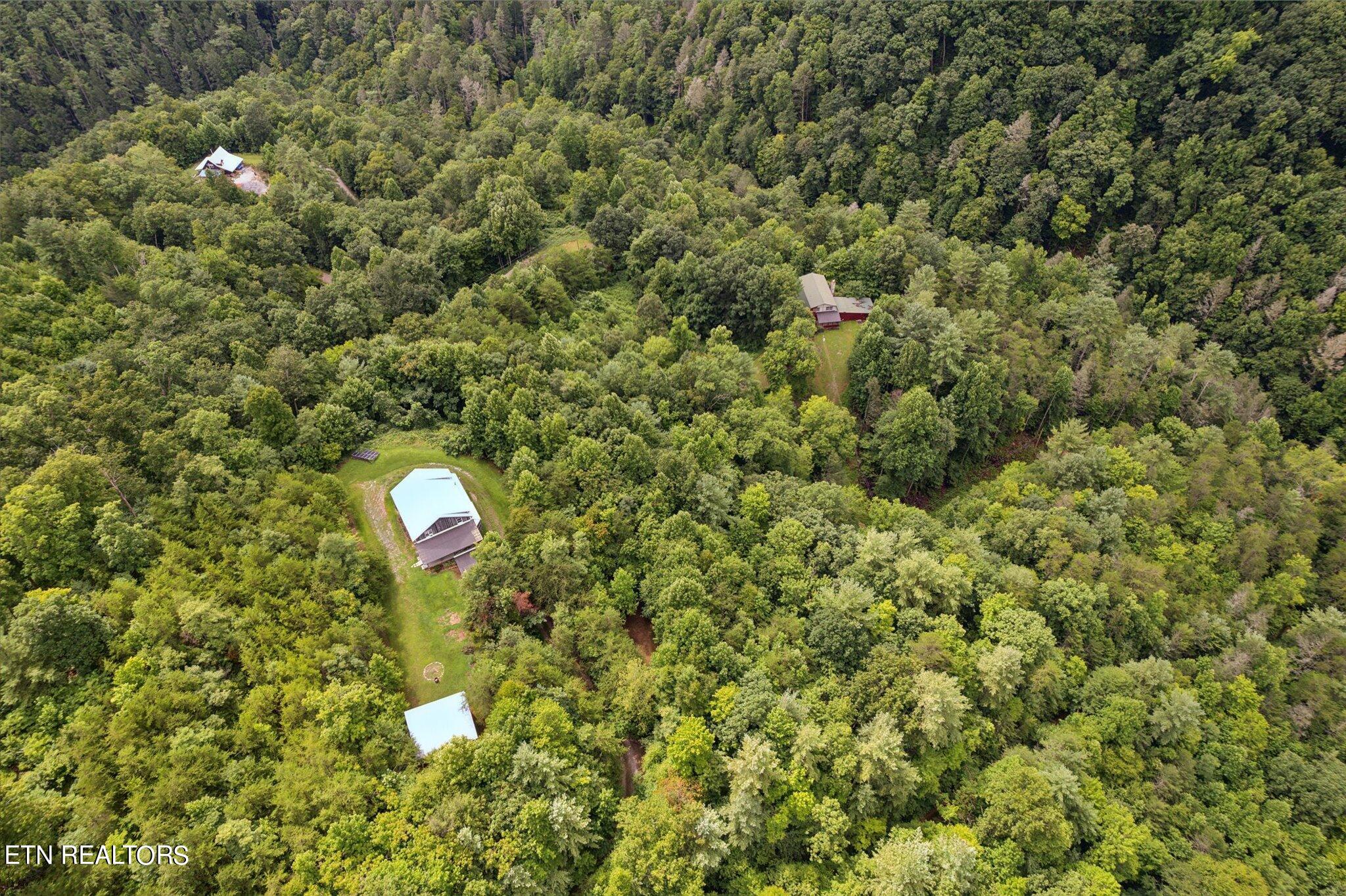 856 Little Berry Way Del Rio, TN 37727 - Photo 5 of 38 05-DJI_0001