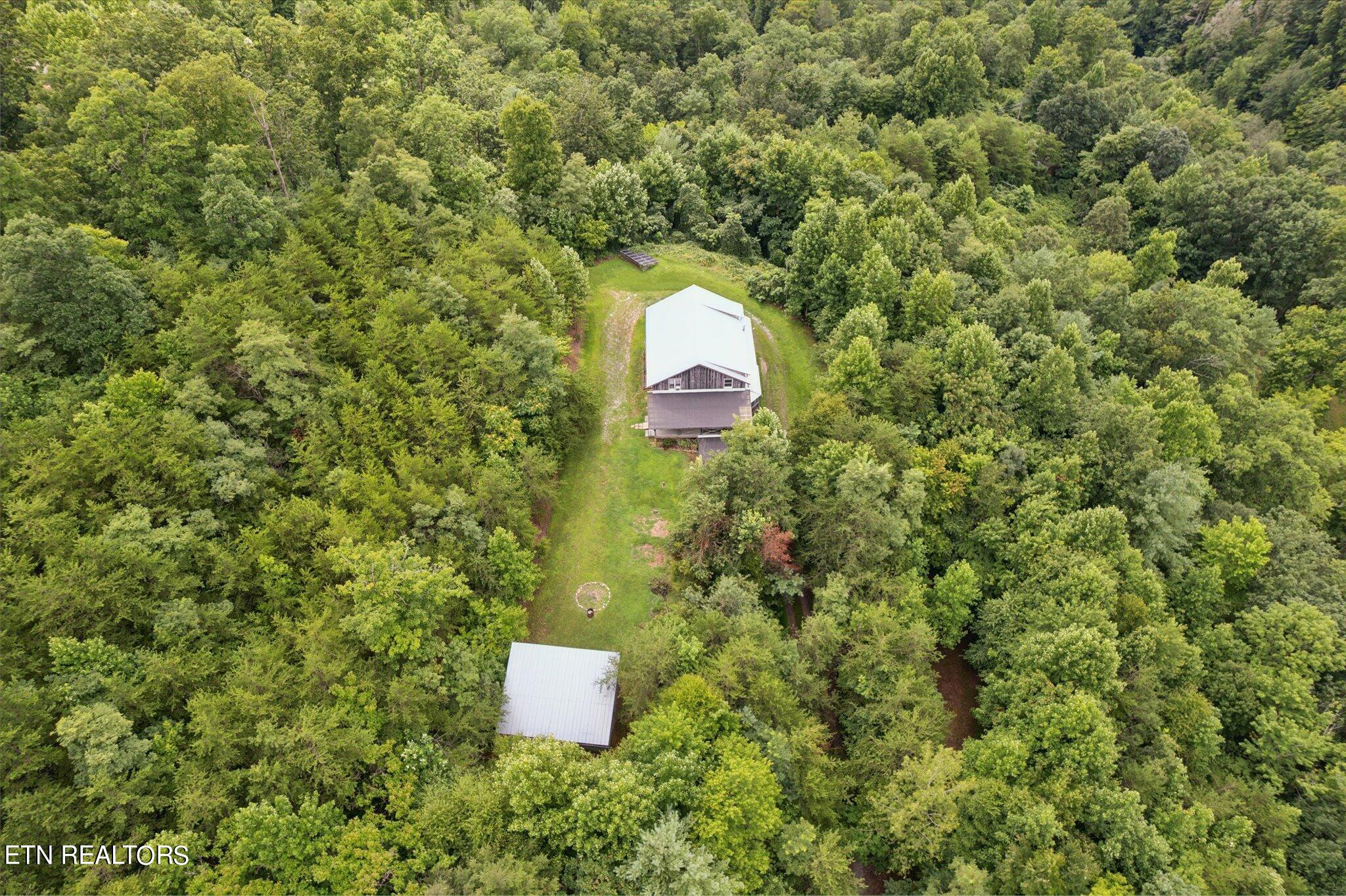 856 Little Berry Way Del Rio, TN 37727 - Photo 6 of 38 06-DJI_0006