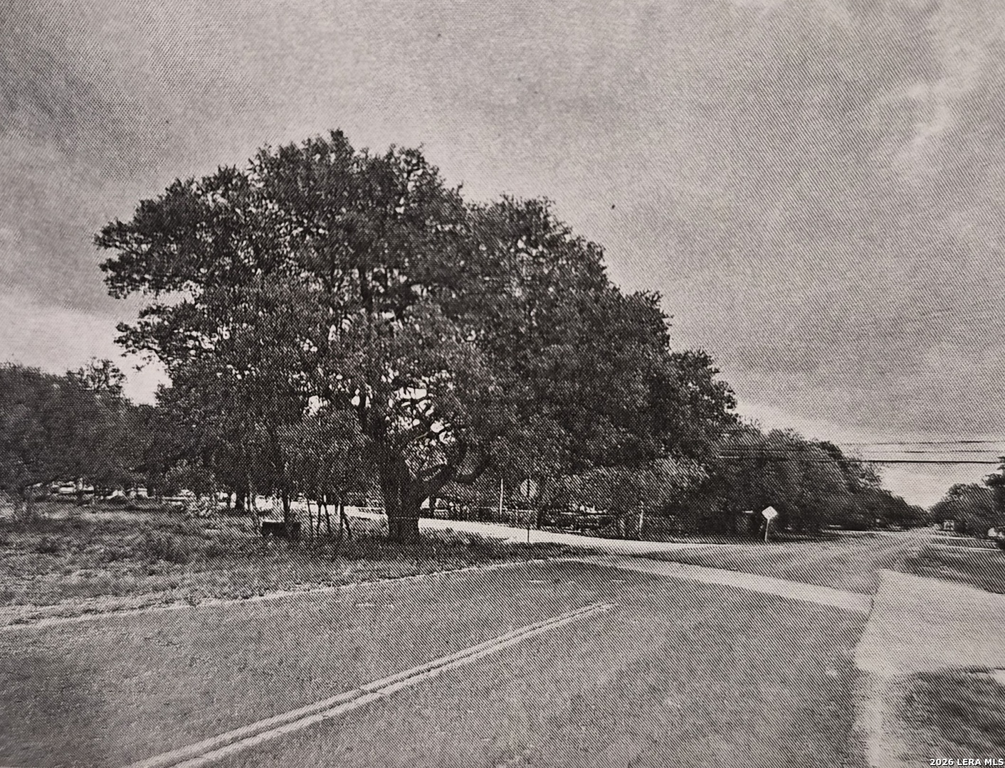 10231 Commerce Street Atascosa, TX 78002 - Photo 4 of 4