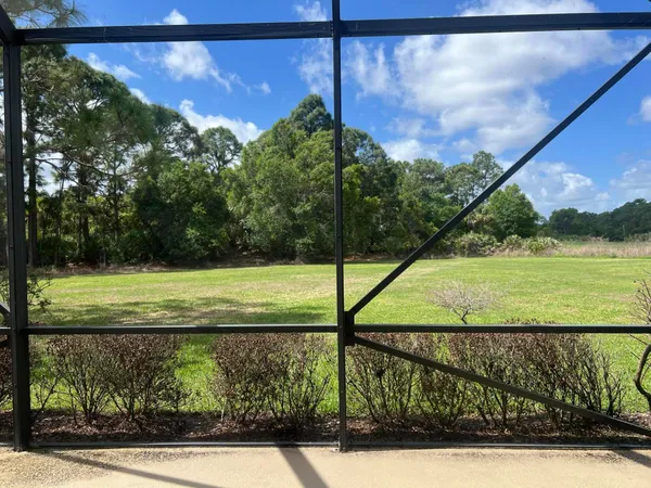 a view of a yard with a swimming pool