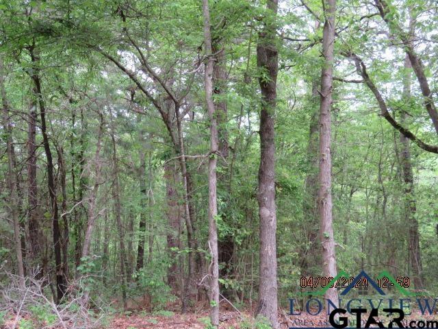 a view of outdoor space and garden