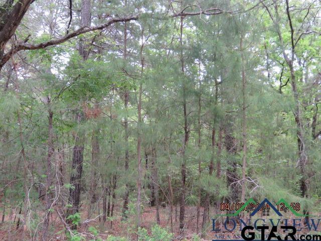 203 Henderson Tx 75652 Henderson, TX 75652 - Photo 2 of 7 a view of a city and forest