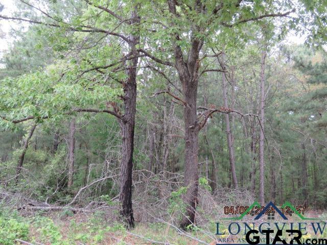 203 Henderson Tx 75652 Henderson, TX 75652 - Photo 4 of 7 a view of outdoor space and trees