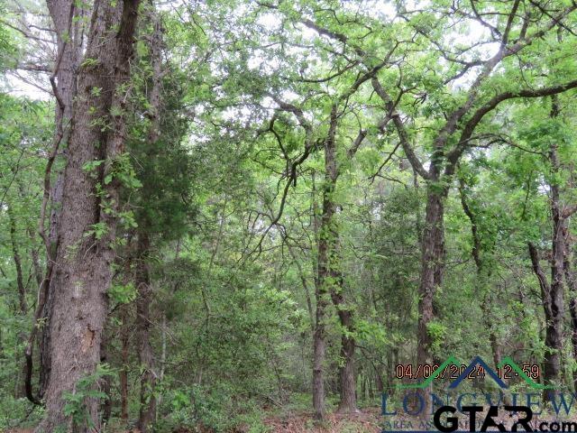 203 Henderson Tx 75652 Henderson, TX 75652 - Photo 5 of 7 a view of forest
