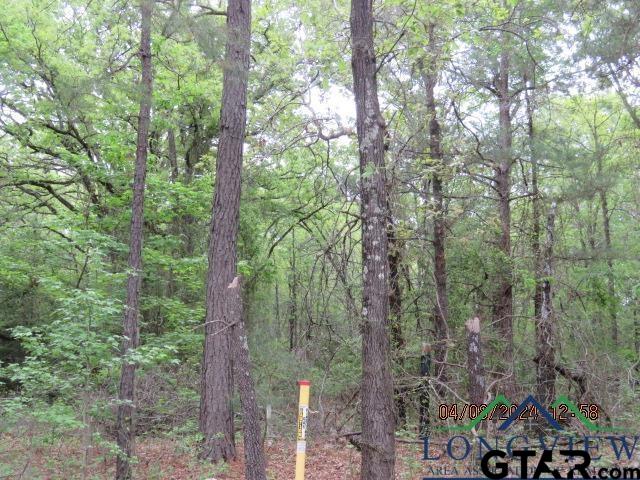 203 Henderson Tx 75652 Henderson, TX 75652 - Photo 6 of 7