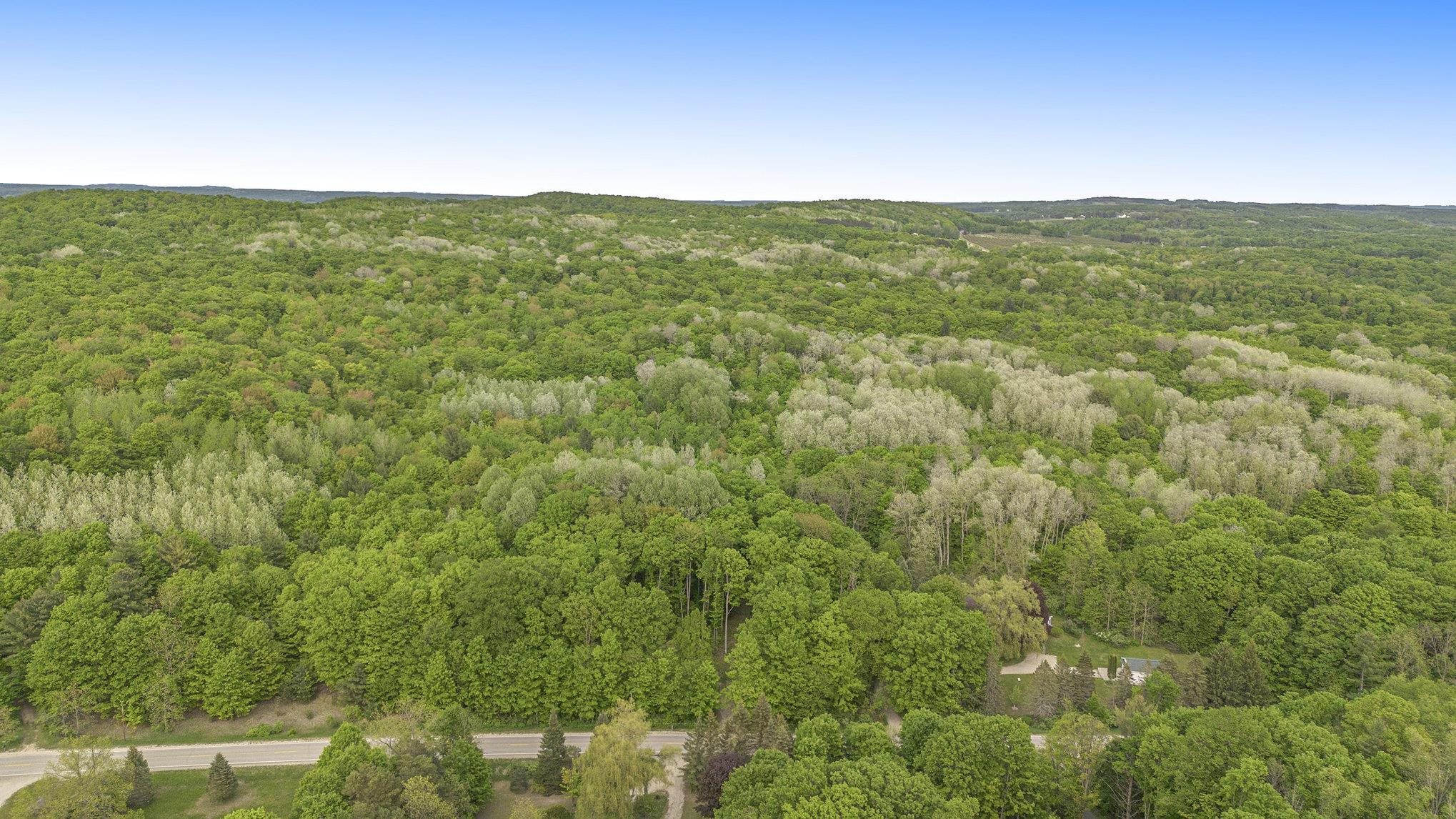 0 Warren Road Beulah, MI 49617 - Photo 17 of 19 Gallery Image 17