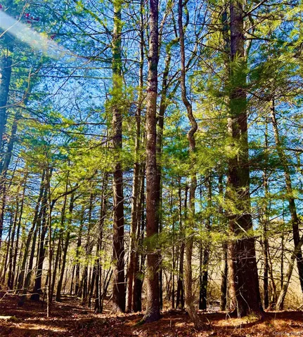 a picture of a room with a white wall and a window