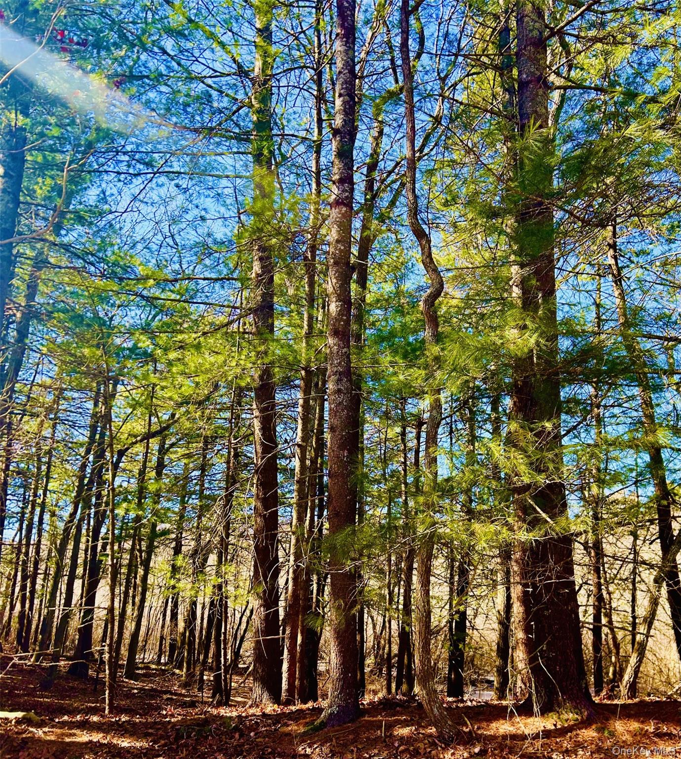 11200 North Bayview Road Southold, NY 11971 - Photo 4 of 7