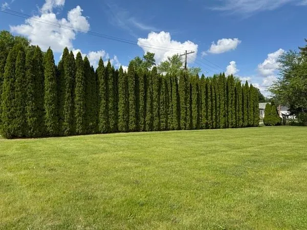 a view of a big yard