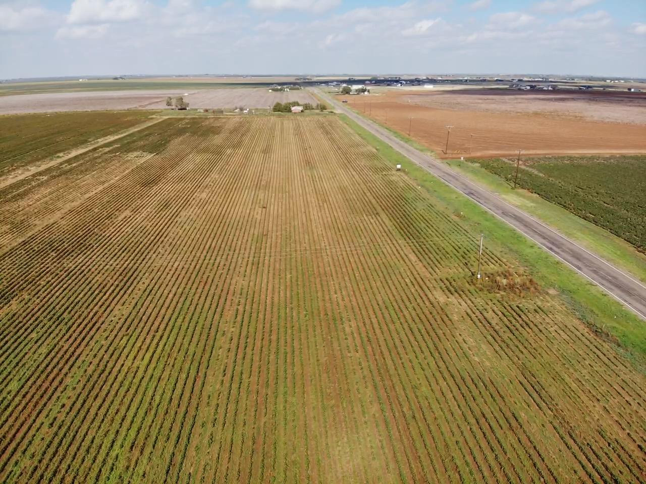 8 Fm 168 Ropesville, TX 79358 - Photo 1 of 3 a view of an ocean and beach