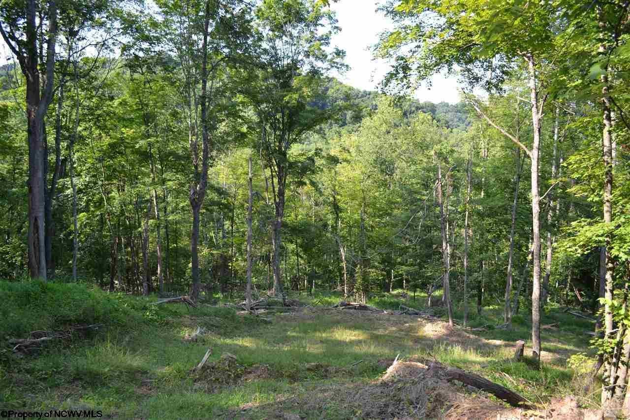 947 Statler Run Road Fairview, WV 26570 - Photo 3 of 9 Gallery Image 3