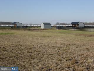 117 Church Road Warwick, MD 21912 - Photo 6 of 6 Gallery Image 6