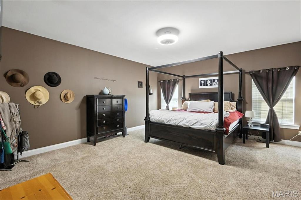 923 Legends View Drive Eureka, MO 63025 - Photo 30 of 74