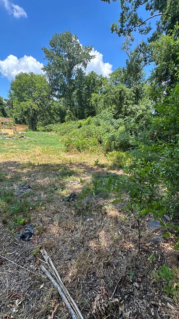 6969 Mobley Road Columbus, GA 31904 - Photo 11 of 15 a view of a field with an trees