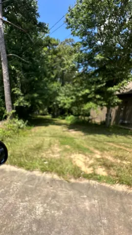 a view of a tree in a yard