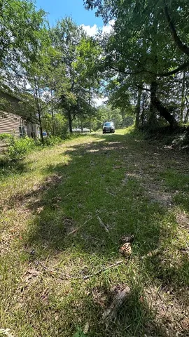a view of a green yard