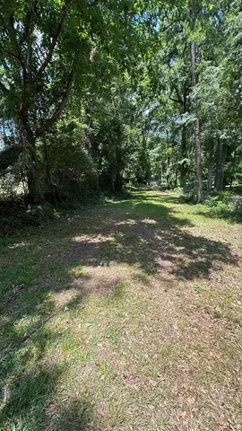 a view of a field with an trees