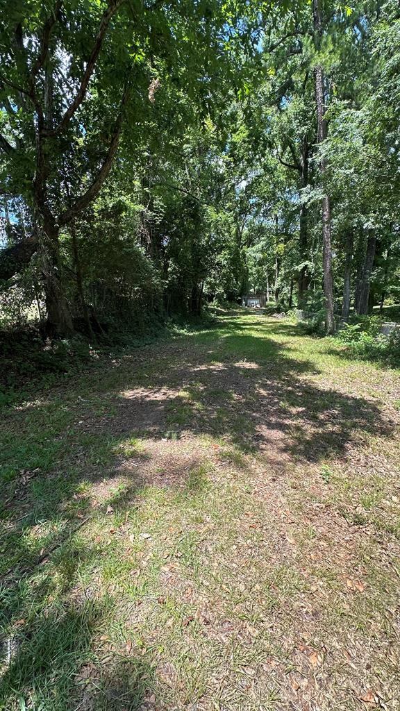 6969 Mobley Road Columbus, GA 31904 - Photo 9 of 15 a view of a tree in a yard
