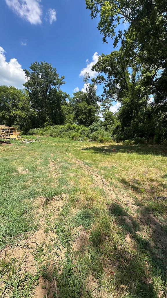 6969 Mobley Road Columbus, GA 31904 - Photo 10 of 15 a view of a green yard