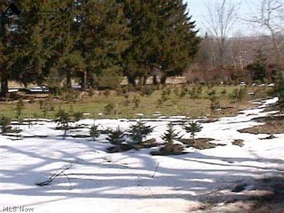 13604 Chillicothe Road Novelty, OH 44072 - Photo 1 of 1